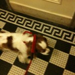 OLIVE AT ELEVATOR